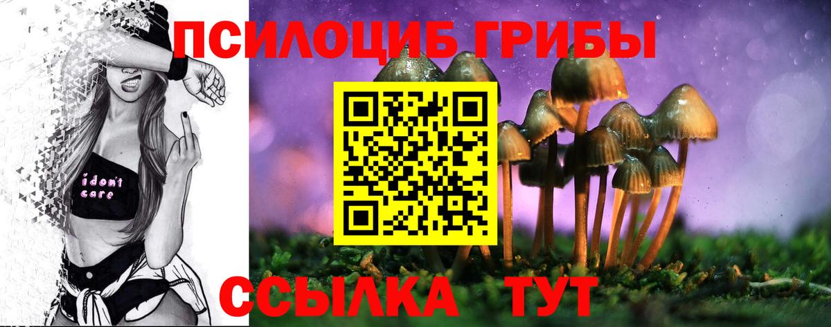 Псилоцибиновые грибы мицелий  Вход с VPN  цены   Узловая 