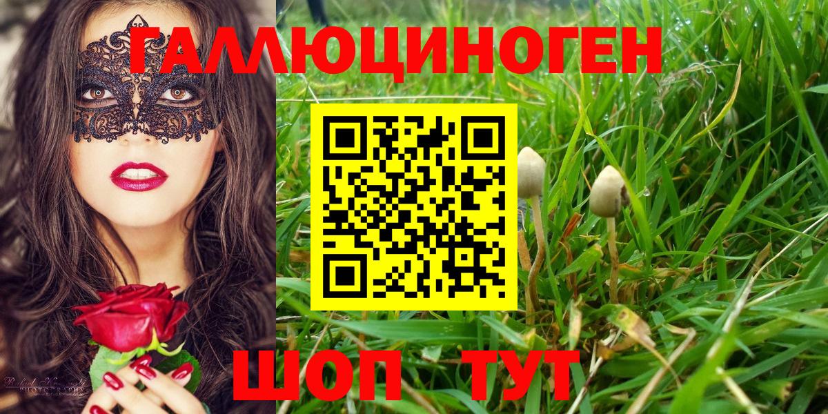 Псилоцибиновые грибы мицелий Узловая